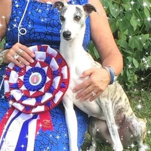 Meet your Posher, Maureen